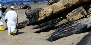 Initial report on California oil spill: Pipeline badly corroded