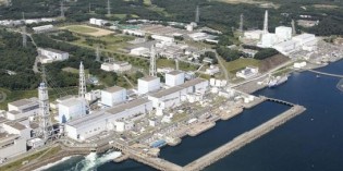 Japan nuclear power to bridge energy gaps, despite Fukushima