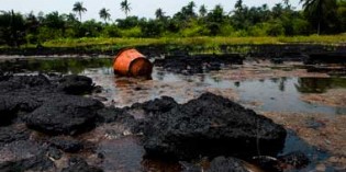 Shell has not cleaned up oil spills in Nigeria, despite claims: Amnesty International