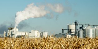 US ethanol prices at 18-month highs, expectations of rising output