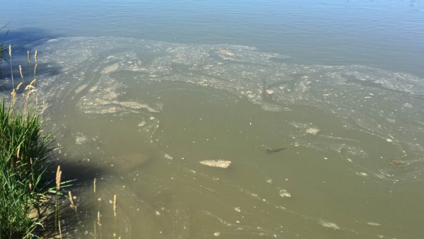 Husky oil spill