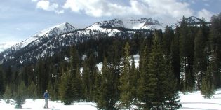 Unlawful oil and gas lease cancellations in Bridger-Teton National Forest