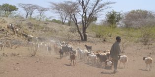 Solar borehole protects Kenyan herders’ children as drought deepens