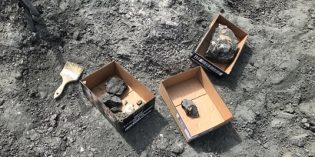 Fossil discoveries at Syncrude oil sands mine becoming a regular occurance