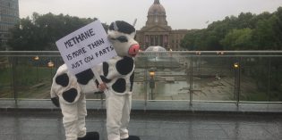 ‘Methane more than just cow farts’ campaign underscores division between climate change foes, industry