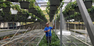Solar energy saved Puerto Rican farm from Hurricane Maria