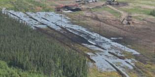 Nexen Energy ordered to shut down 95 pipelines in Alberta